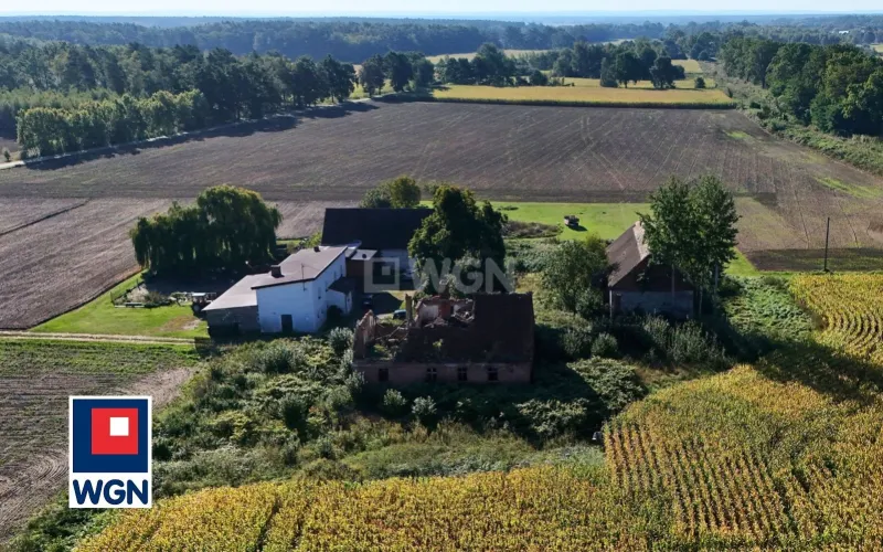 Dom na  sprzedaż Henrykowice - Działka 4300 m2 z zabudowaniami - Henrykowice - Dolina Baryczy.